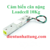 cam-bien-loadcell-10kg-dai-dien