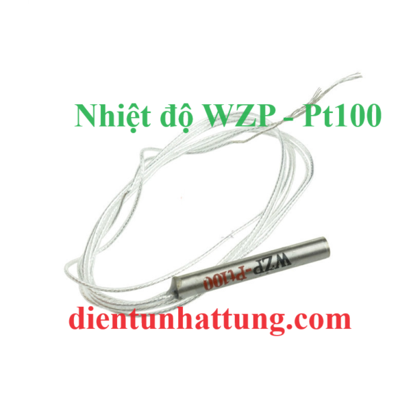 cam-bien-wzp-pt100-nhiet-do-day-dai-dien