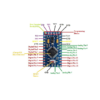 arduino-pro-mini-16m-anh-dai-dien-4