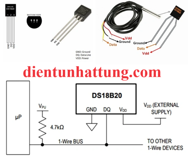 cam-bien-ds18b20-nhiet-do-cac-loai-nguyen