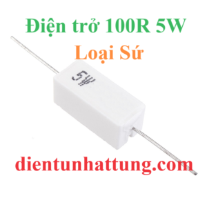 dien-tro-100r-5w-dien-tro-cong-suat-loai-su-dai-dien