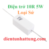 dien-tro-10r-5w-dien-tro-cong-suat-loai-su-dai-dien