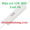 dien-tro-12r-10w-dien-tro-cong-suat-loai-su-dai-dien-768x768