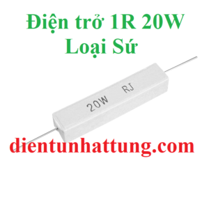 dien-tro-1r-20w-dien-tro-cong-suat-loai-su-dai-dien