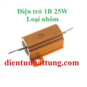 dien-tro-1r-25w-dien-tro-cong-suat-nhom-rx24-dai-dien