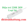 dien-tro-220r-20w-dien-tro-cong-suat-loai-su-dai-dien