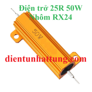 dien-tro-25r-50w-dien-tro-cong-suat-nhom-rx24-dai-dien