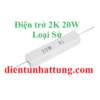 dien-tro-2k-20w-dien-tro-cong-suat-loai-su-dai-dien