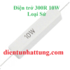 dien-tro-300r-10w-dien-tro-cong-suat-loai-su-dai-dien