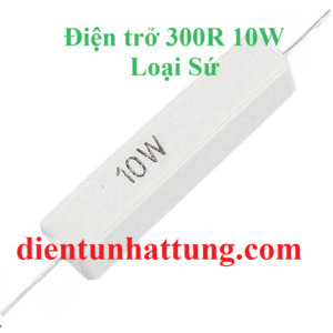 dien-tro-300r-10w-dien-tro-cong-suat-loai-su-dai-dien