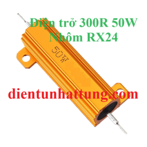 dien-tro-300r-50w-dien-tro-cong-suat-nhom-rx24-dai-dien