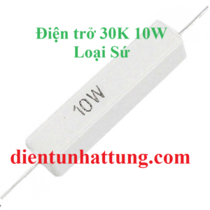 dien-tro-30k-10w-dien-tro-cong-suat-loai-su-dai-dien