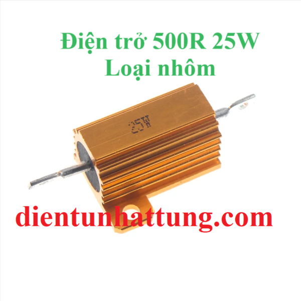 dien-tro-500r-25w-dien-tro-cong-suat-nhom-rx24-dai-dien