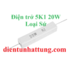 dien-tro-5k1-20w-dien-tro-cong-suat-loai-su-dai-dien