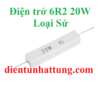 dien-tro-6r2-20w-dien-tro-cong-suat-loai-su-dai-dien