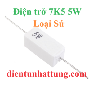 dien-tro-7k5-5w-dien-tro-cong-suat-loai-su-dai-dien