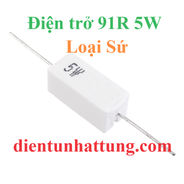 dien-tro-91r-5w-dien-tro-cong-suat-loai-su-dai-dien