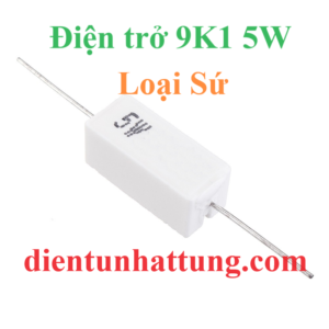 dien-tro-9k1-5w-dien-tro-cong-suat-loai-su-dai-dien