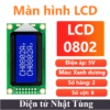 man-hinh-lcd0802-mau-xanh-duong