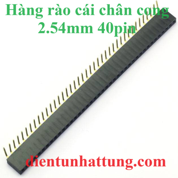 hang-rao-cai-don-chan-cong-anh-dai-dien