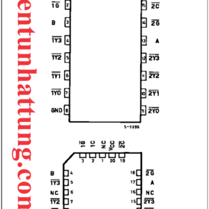 ic-74hc155-2-sang-4-duong-mo-rong-chan-2-cong-cau-truc-chan