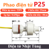 phao-dien-tu-p25-cong-tac-duoi-nuoc-chieu-dai-25cm
