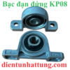 bac-dan-dung-kp08-hinh-dai-dien