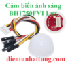 cam-bien-anh-sang-bh1750fvi-cuong-do-anh-sang-lux-dai-dien