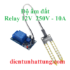 cam-bien-do-am-dat-relay-12v-relay-cong-suat-250v-10A-dai-dien