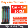 day-cam-testboard-cai-cai-20cm