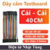 day-cam-testboard-cai-cai-40cm