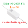 dien-tro-200r-5w-dien-tro-cong-suat-loai-su-dai-dien