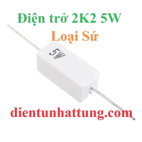 dien-tro-2k2-5w-dien-tro-cong-suat-loai-su-dai-dien