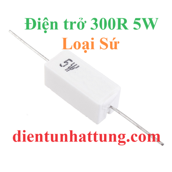 dien-tro-300r-5w-dien-tro-cong-suat-loai-su-dai-dien