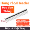 hang-rao-duc-don-thang-cao-21mm