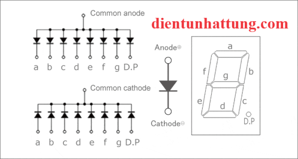 led-7-doan-1so-anot-0.56in-LED-7SEG-19x12.5x8MM-phan-loai1