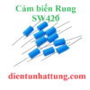 module-cam-bien-rung-sw420-cam-bien-lo-xo-dai-dien