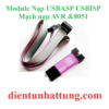 module-mach-nap-usbasp-usbisp-mach-nap-avr-8051-dai-dien