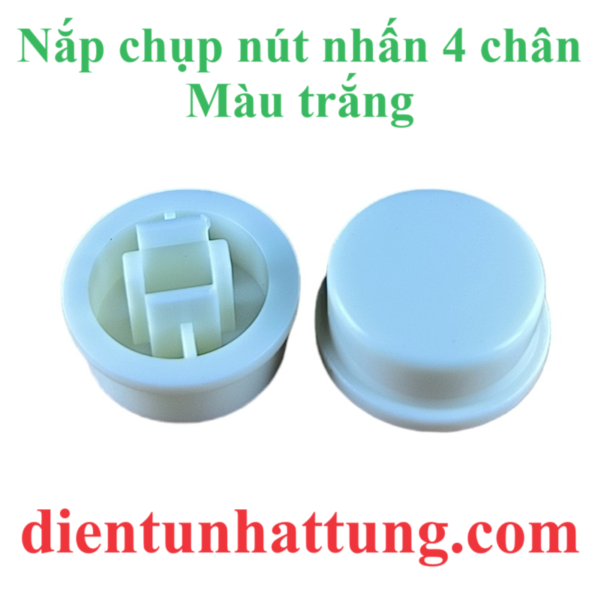 nap-chup-nut-nhan-mau-trang-tren-thi-truong-dai-dien