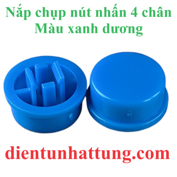 nap-chup-nut-nhan-mau-xanh-duong-tren-thi-truong-dai-dien