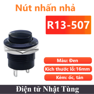 nut-nhan-nha-r13-507-mau-den