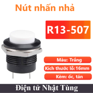nut-nhan-nha-r13-507-mau-trang