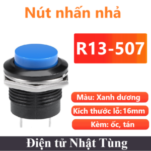 nut-nhan-nha-r13-507-mau-xanh-duong