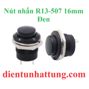 nut-nhan-r13-507-16mm-den-dai-dien