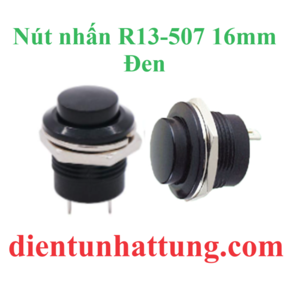 nut-nhan-r13-507-16mm-den-dai-dien