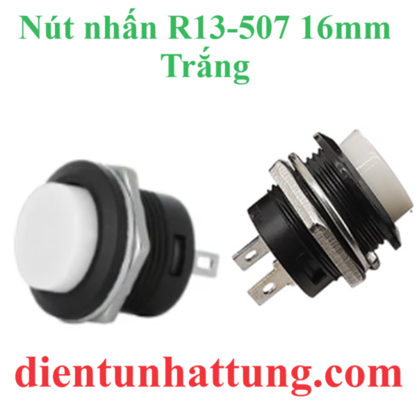 nut-nhan-r13-507-16mm-trang-dai-dien