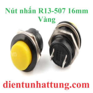 nut-nhan-r13-507-16mm-vang-dai-dien