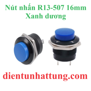 nut-nhan-r13-507-16mm-xanh-duong-dai-dien