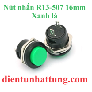 nut-nhan-r13-507-16mm-xanh-la-dai-dien