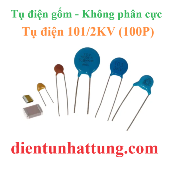 tu-dien-101-2kV-cac-loai-tu-dien-gom-tu-khong-phan-cuc-dai-dien